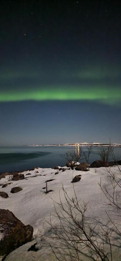 Pilan Lodge Lofoten Vestpollen エクステリア 写真
